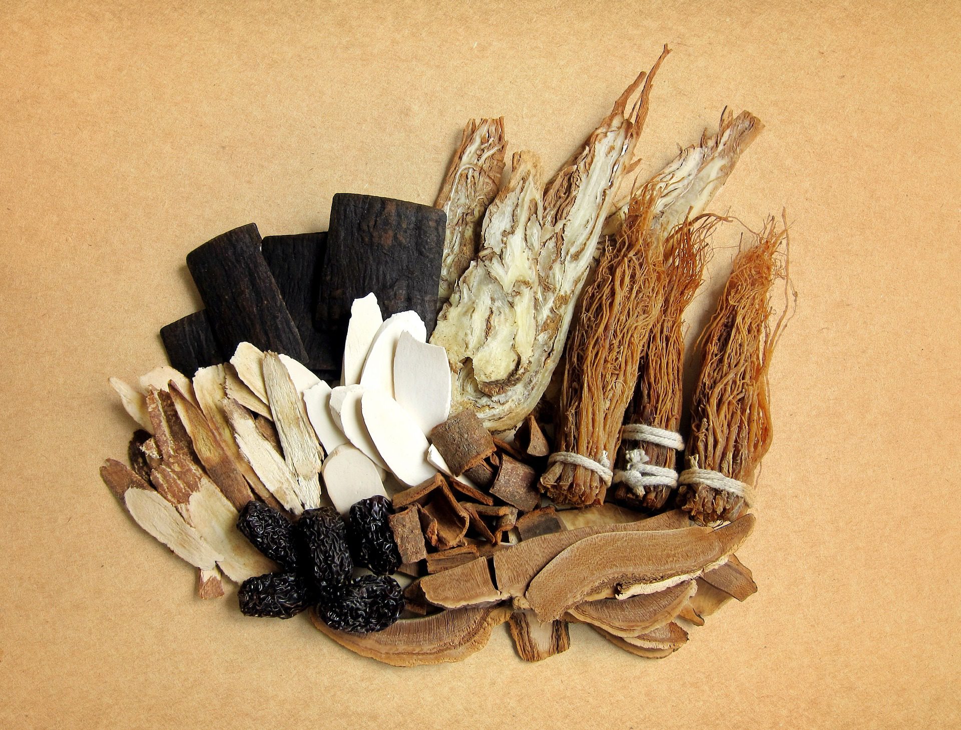 a selection of common raw Chinese herbs